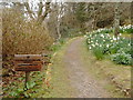 Lochalsh Woodland Garden Path in IV40 8DN