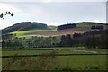 View to West Mains Hill from North Dronley, Auchterhouse in DD3 0QL