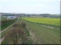 Fields and byway south of Beckhampton in SN8 1QJ