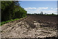 Sedgemoor : Muddy Field in TA7 0AD