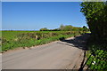 Sedgemoor : Huntworth Lane in TA7 0AD