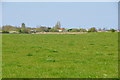 Sedgemoor : Grassy Field in TA7 0AD