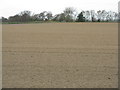 Newly sown spring barley field in EH35 5NJ