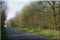 Road through Tingewick Wood in MK18 4HB
