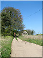 Access road to Hall Farm, Upper Guist in Guist