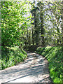 View along Watery Lane, Upper Guist in Guist