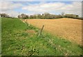 Contrast in fields by the Wessex Ridgeway in DT8 3JN