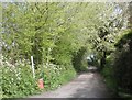 Lane, leading to Brent Knoll in TA8 2TX