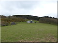 Upland field cottage near Glyndwr's Way in Cadfarch Community