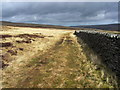 Track above Downs Gill in DL8 4TY