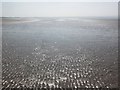 Looking over Berrow Flats towards Gore sand in TA8 2LW