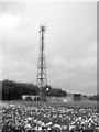Transmitter on the former RAF West Beckham radar station in NR25 6PL