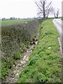 Hedge and ditch feature in SG17 5NY