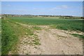 Arable land near Shepton Beauchamp in TA19 0NF