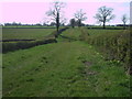 Bridleway from Woodlane Farm to Bellamy's Farm in SN15 5EF