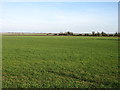 Farmland near Gray's Farm in CB7 5YE
