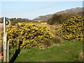 Footpath near Fegla Fach in LL39 1BQ