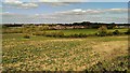 Farmland west of Faringdon in SN7 8AR