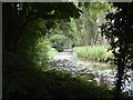 Quy Water from Anglesey Abbey garden in CB25 9EN
