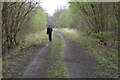 Track into Newball Wood in Newball