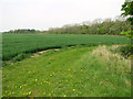 Fields by Crane's Corner in NR19 2HT