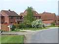New housing off Dereham Road in Beeston (Breckland)