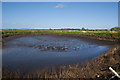 The lagoon looks empty or just full of a muddy slurry in PR4 5JH