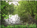 Small pond by Holmdene Farm in PE32 2RP