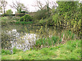 Pond beside Water End Lane in PE32 2RP