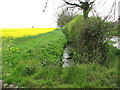 Field boundary ditch and hedge in Longham
