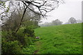 East Devon : Grassy Field in EX15 2NJ