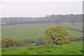 East Devon : Grassy Field in EX5 3DH