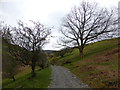 Glyndwr's Way below Foel Fadian in SY20 8RE