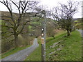 On Glyndwr's Way below Foel Fadian in SY20 8RE