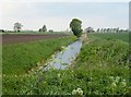Fenland drain near Littleport in CB6 1RJ