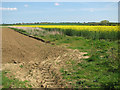 Cultivated fields by Hindringham in NR21 0PQ
