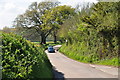 East Devon : Country Road in EX5 2PA