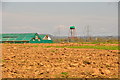 East Devon : Ploughed Field in EX5 3DB