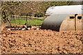 East Devon : Harepathstead Farm Pig Sty in EX5 3DE