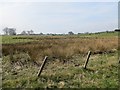 Wet ground near Strathaven in ML10 6BS
