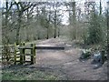 West entrance to Pitcheroak Wood, Redditch in B97 6UA