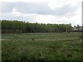 Bogburn Flood Lagoons Nature Reserve in EH48 2GH