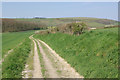 Bridleway near Chillerton in PO30 3EW