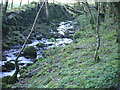 Stream next to footpath in LL40 1YF