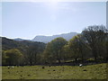 Cader Idris in the distance in LL40 1TR
