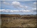 Moorland fence in IV47 8SH