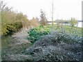 Brighthampton Cut and lake in OX29 7QL