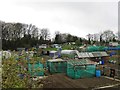 Allotment Gardens, Whickham in NE16 4RB