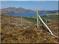 Deer fence above Eilanreach in IV40 8JA