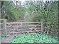 Gate to footpath in OX29 6PJ